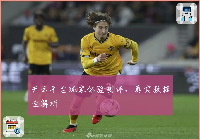 开云平台玩家体验测评，真实数据全解析