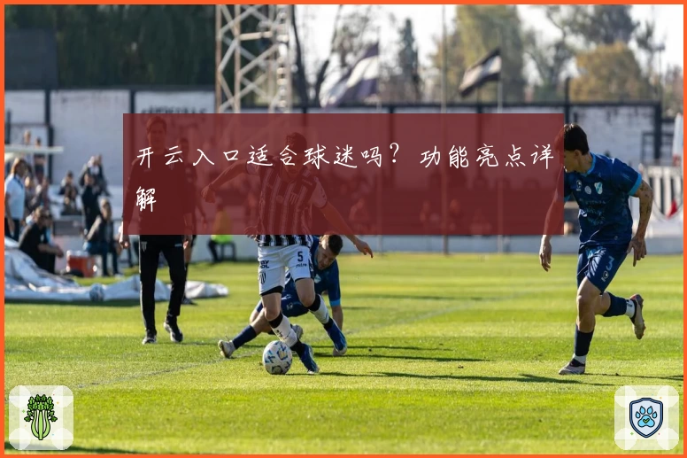 开云入口适合球迷吗？功能亮点详解