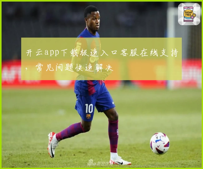开云app下载极速入口客服在线支持,常见问题快速解决